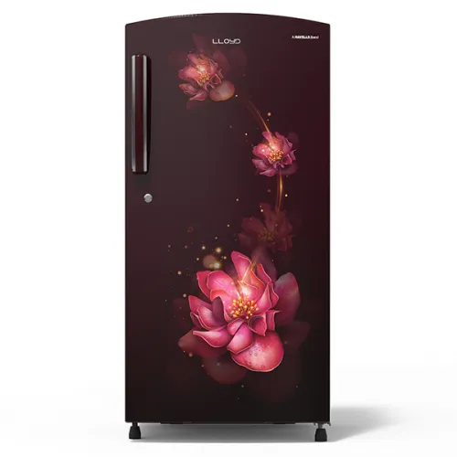 lloyd 255 litre fridge