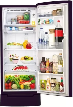 Whirlpool 215 L 5 Star Inverter Direct-Cool Single Door Refrigerator ...